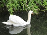 IMG_0048