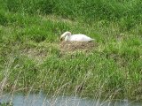 IMG_0117-mod