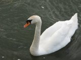IMG_0133