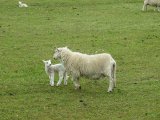 IMG_0231