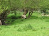 IMG_0336