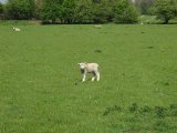 IMG_0341