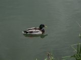 IMG_0353