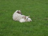 IMG_0361