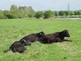 IMG_0374