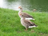 IMG_0402
