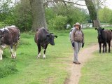 IMG_0414