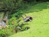 IMG_0521