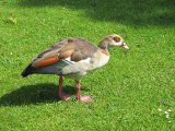 IMG_0530