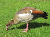 IMG_0533