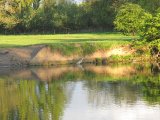 IMG_0737
