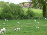 IMG_0762