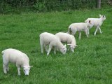 IMG_0765
