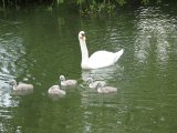 IMG_0892