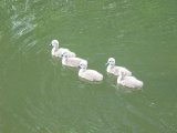 IMG_0894