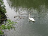 IMG_0896