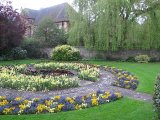 IMG_0503